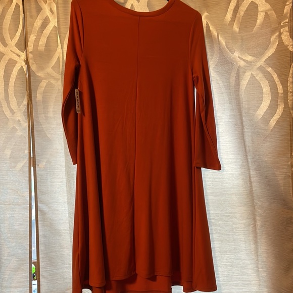 Orange Dress - Picture 5 of 5